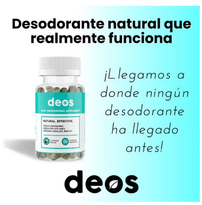 🚫 Ya no más mal olor durante el día